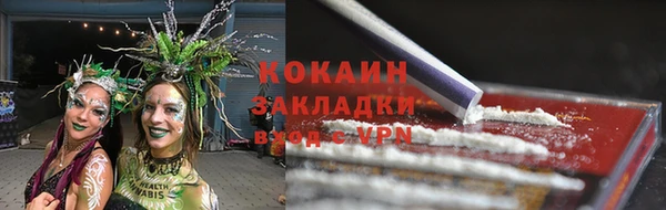 шишки Бронницы