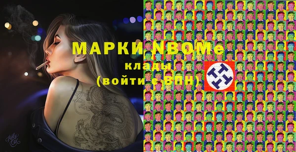 амф Бородино
