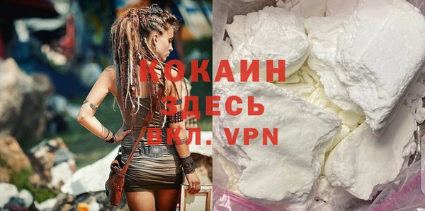 шишки Бронницы