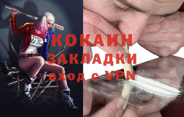 шишки Бронницы
