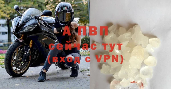 амф Бородино