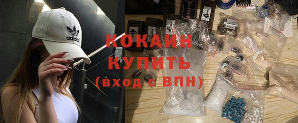 амф Бородино