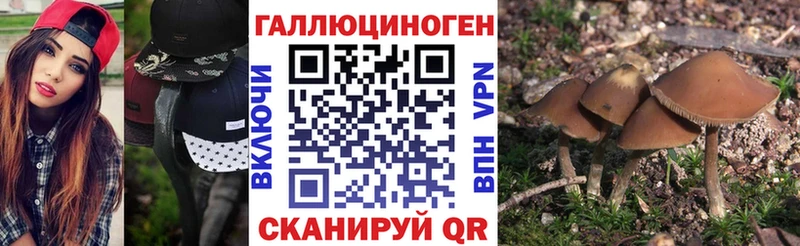 KRAKEN ТОР  Новосокольники  Псилоцибиновые грибы мухоморы 